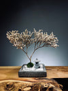 Snowfall - Anchor edition (Preserved Plants)
