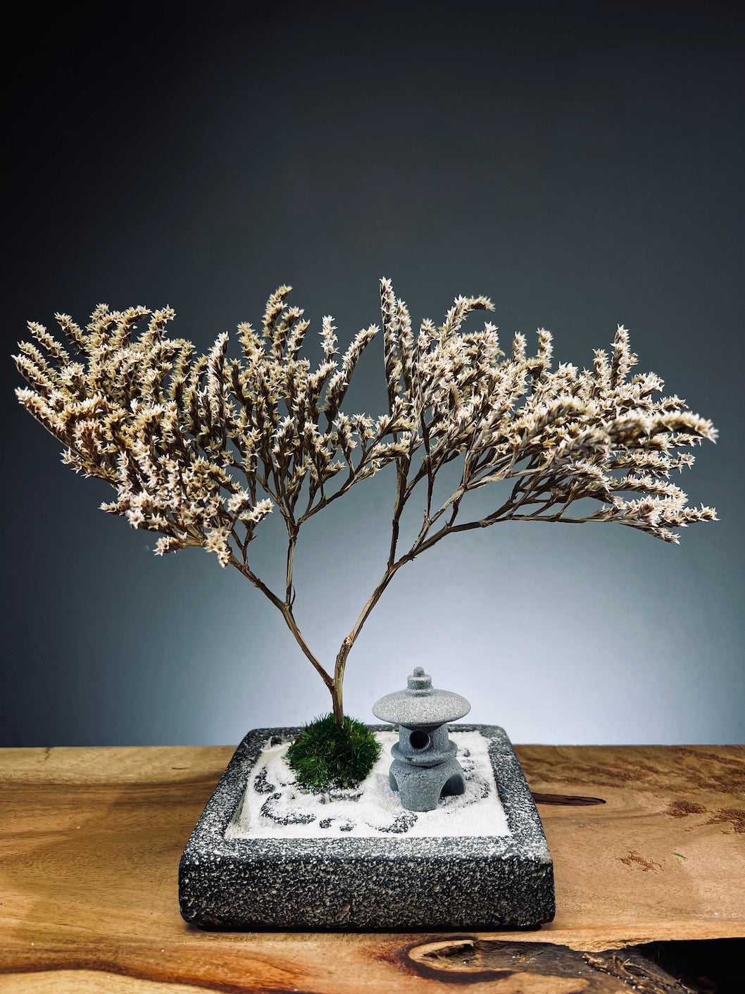 Snowfall - Anchor edition (Preserved Plants)