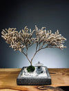 Snowfall - Anchor edition (Preserved Plants)