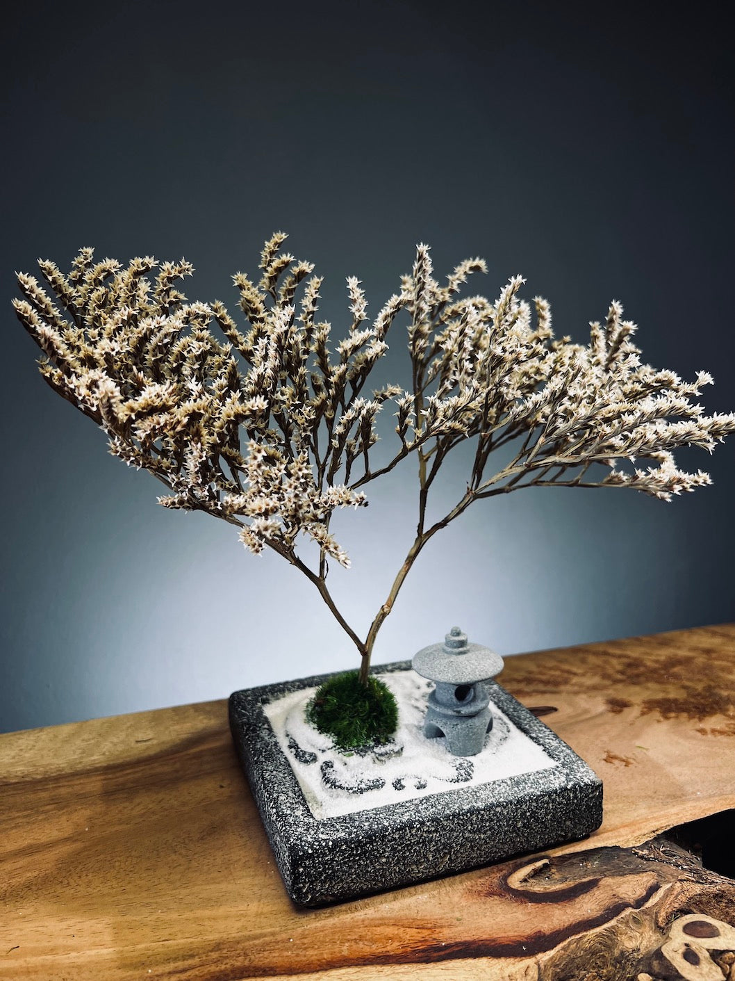 Snowfall - Anchor edition (Preserved Plants)