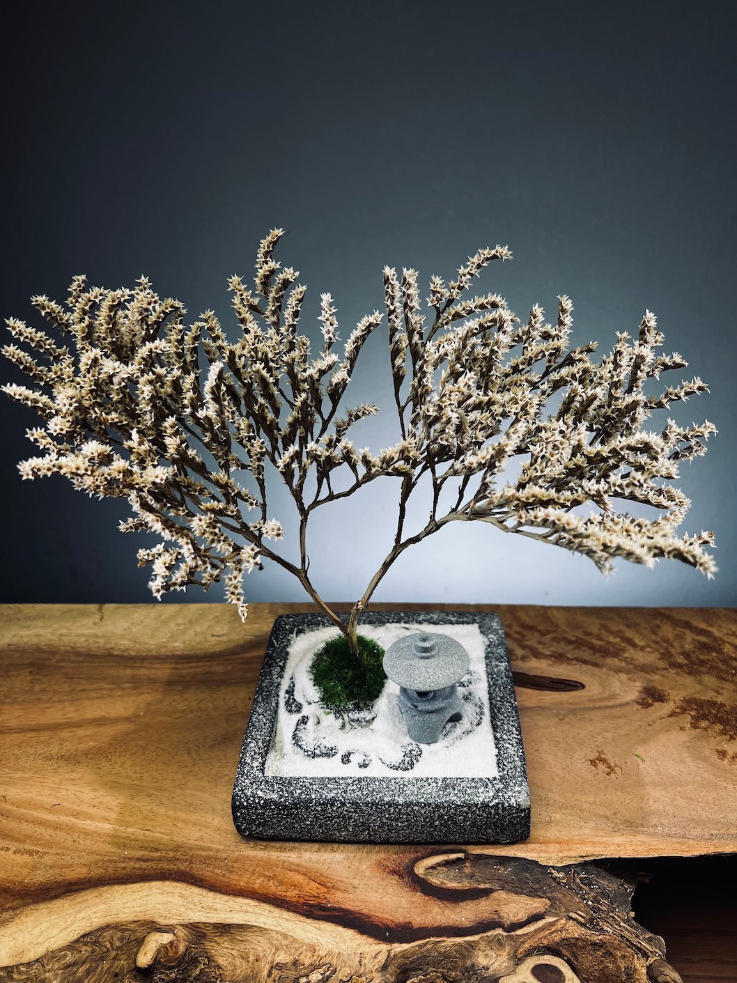 Snowfall - Anchor edition (Preserved Plants)