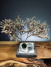 Snowfall - Anchor edition (Preserved Plants)