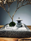 Snowfall - Anchor edition (Preserved Plants)