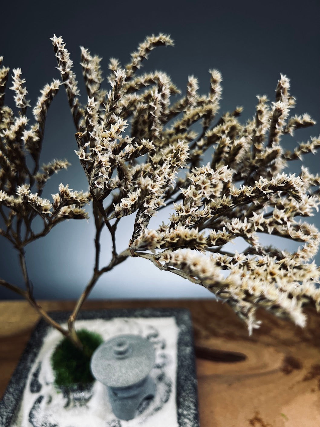 Snowfall - Anchor edition (Preserved Plants)
