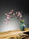 Slow Wood - The Journey (Preserved Plants)