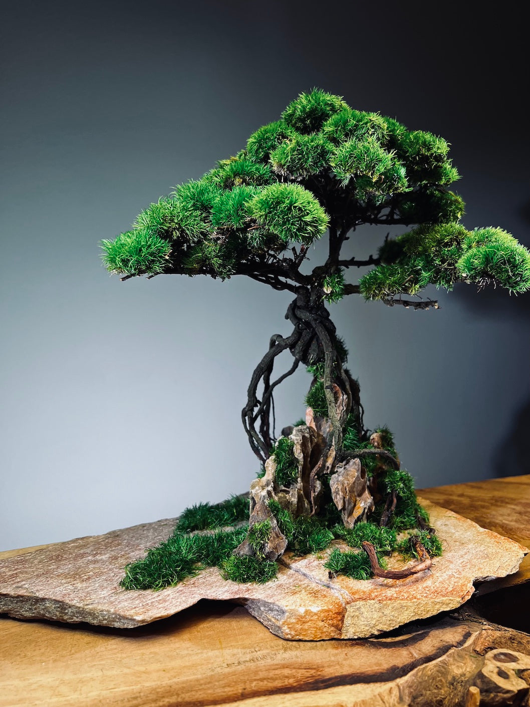 Mistwood - Windcut Rocks (Preserved Plants)