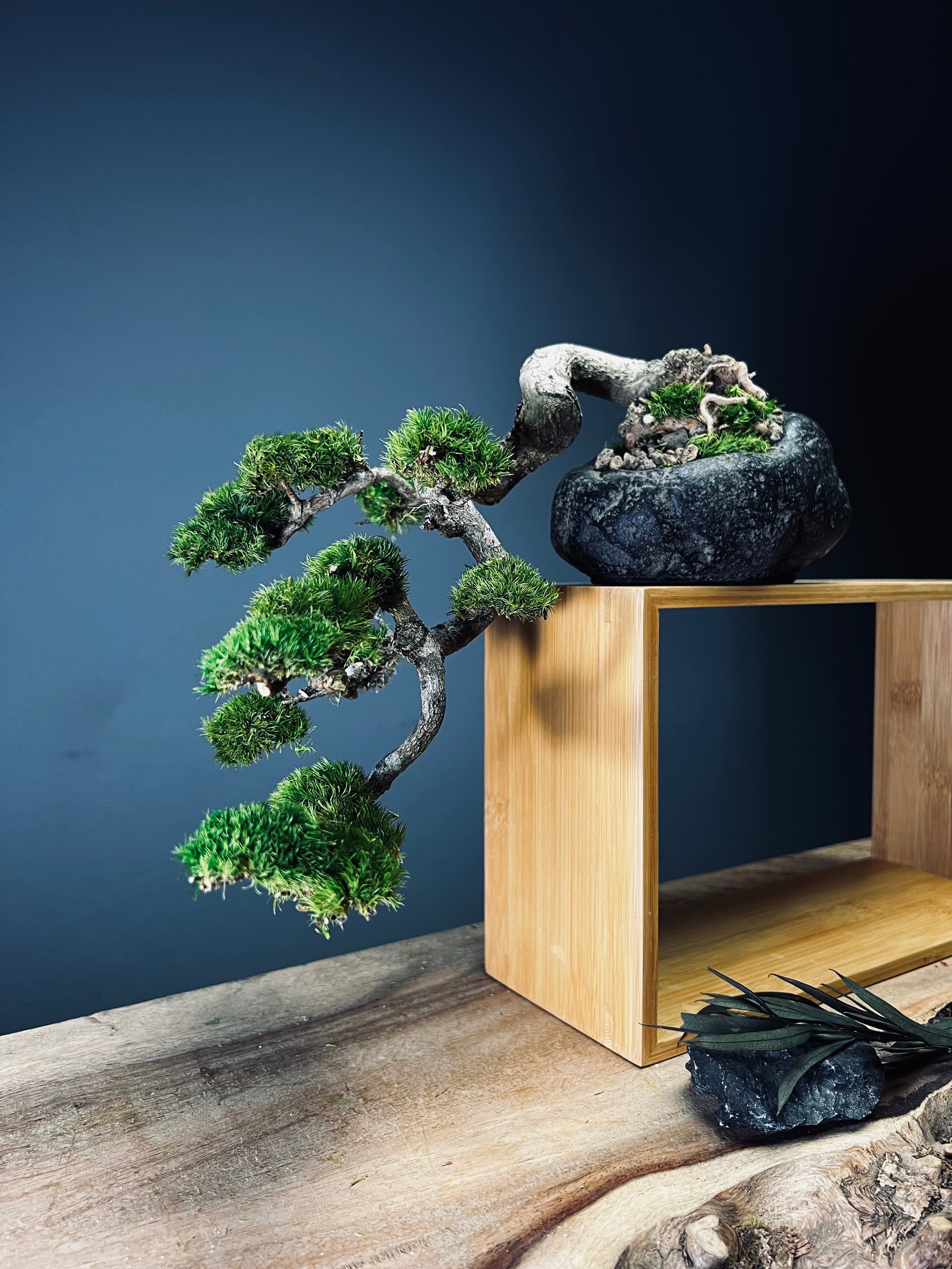 Summer's Whispers (Preserved Plants)