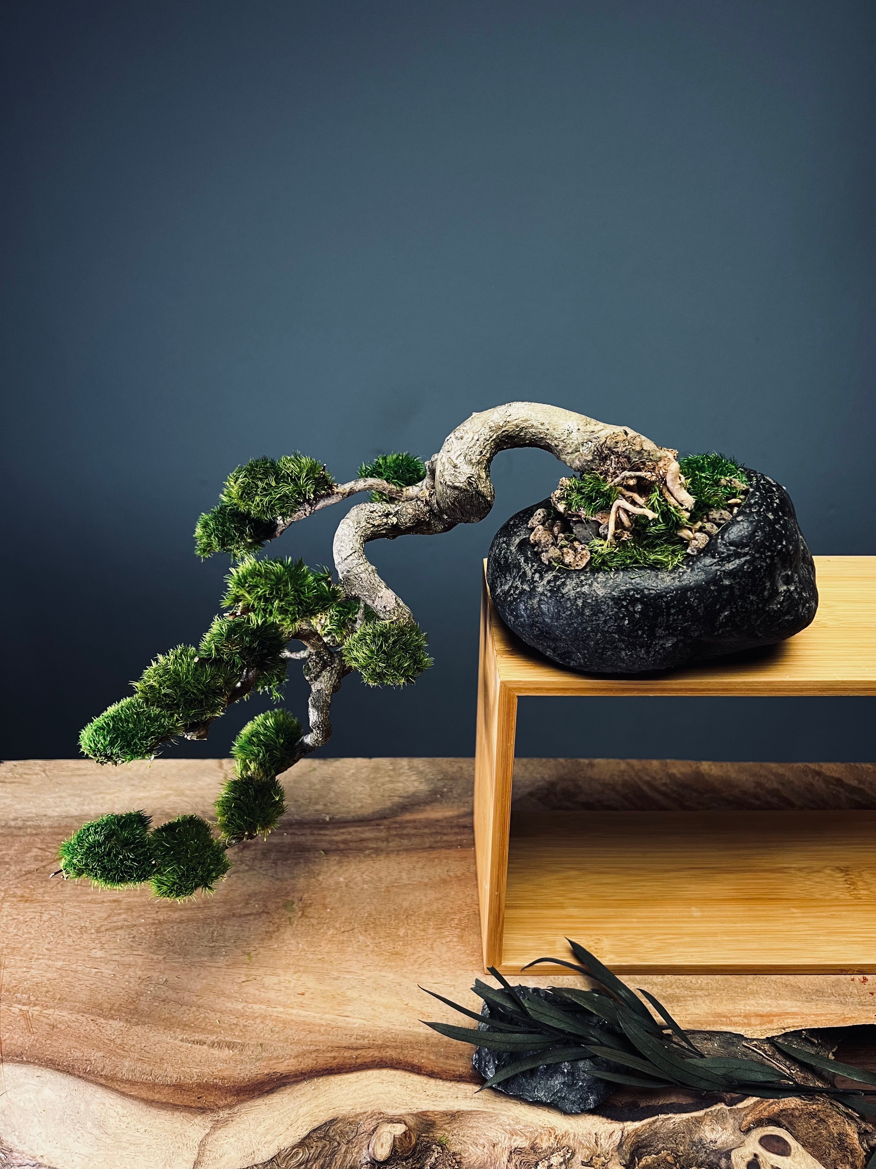 Summer's Whispers (Preserved Plants)