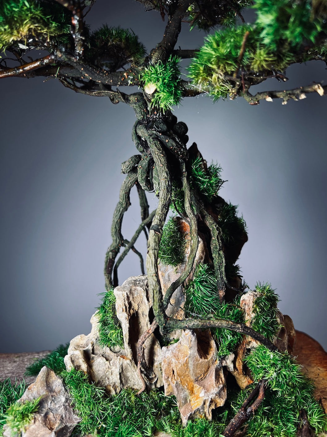 Mistwood - Windcut Rocks (Preserved Plants)