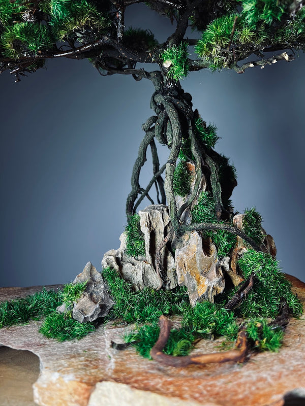 Mistwood - Windcut Rocks (Preserved Plants)