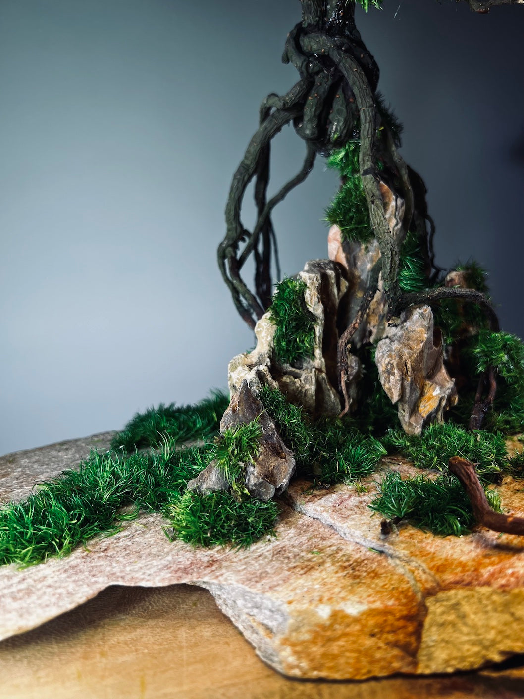 Mistwood - Windcut Rocks (Preserved Plants)