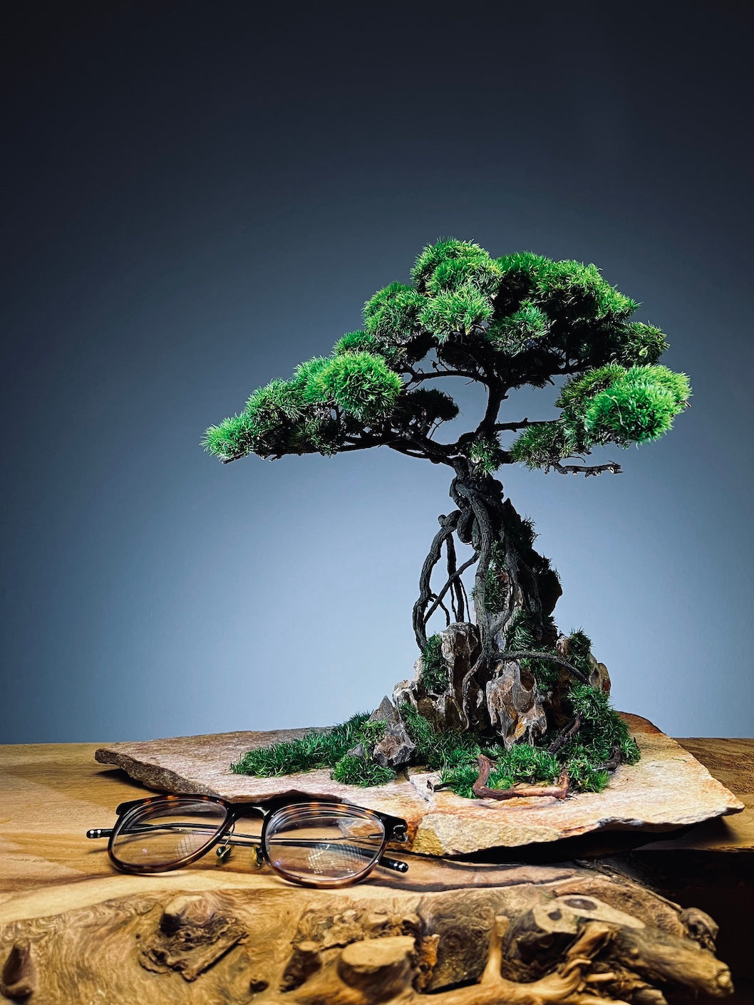 Mistwood - Windcut Rocks (Preserved Plants)