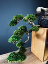 Summer's Whispers (Preserved Plants)