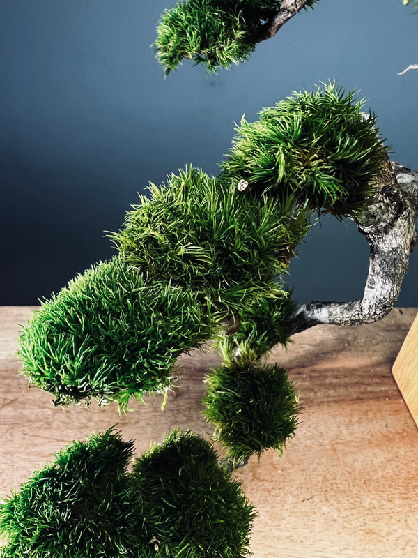 Summer's Whispers (Preserved Plants)