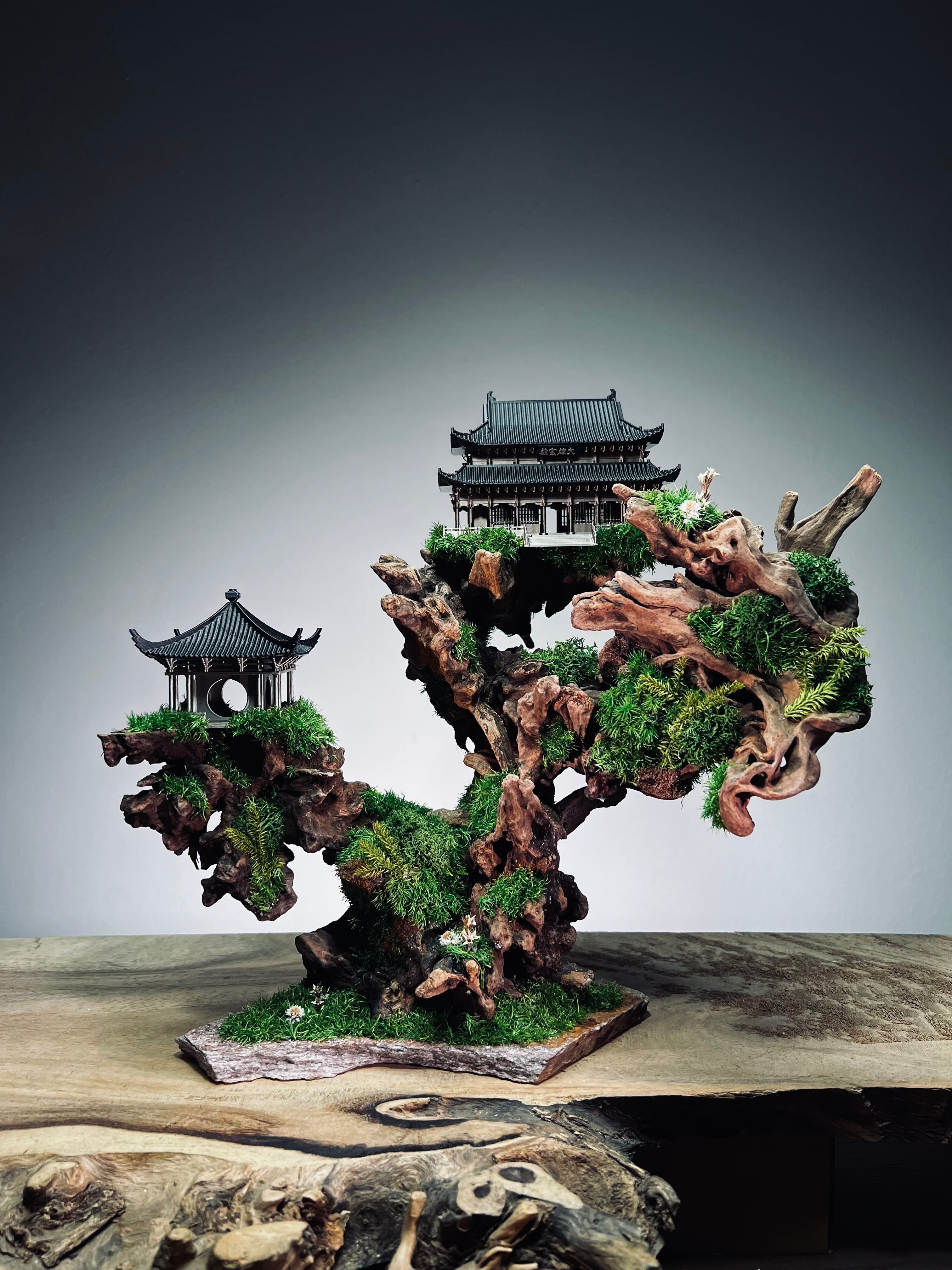 Blackwood Cliff (Preserved Plants)