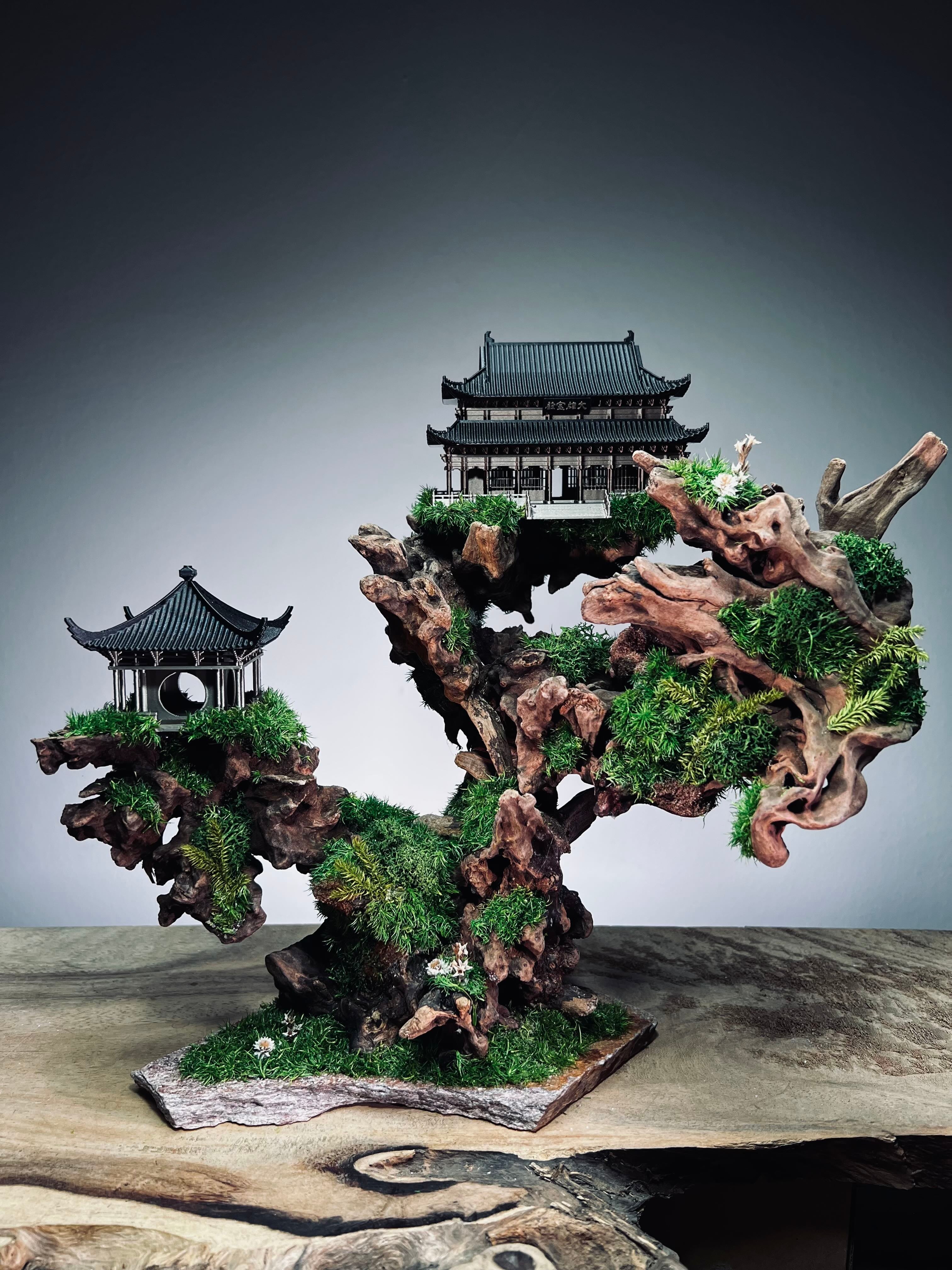 Blackwood Cliff (Preserved Plants)