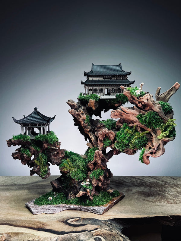 Blackwood Cliff (Preserved Plants)