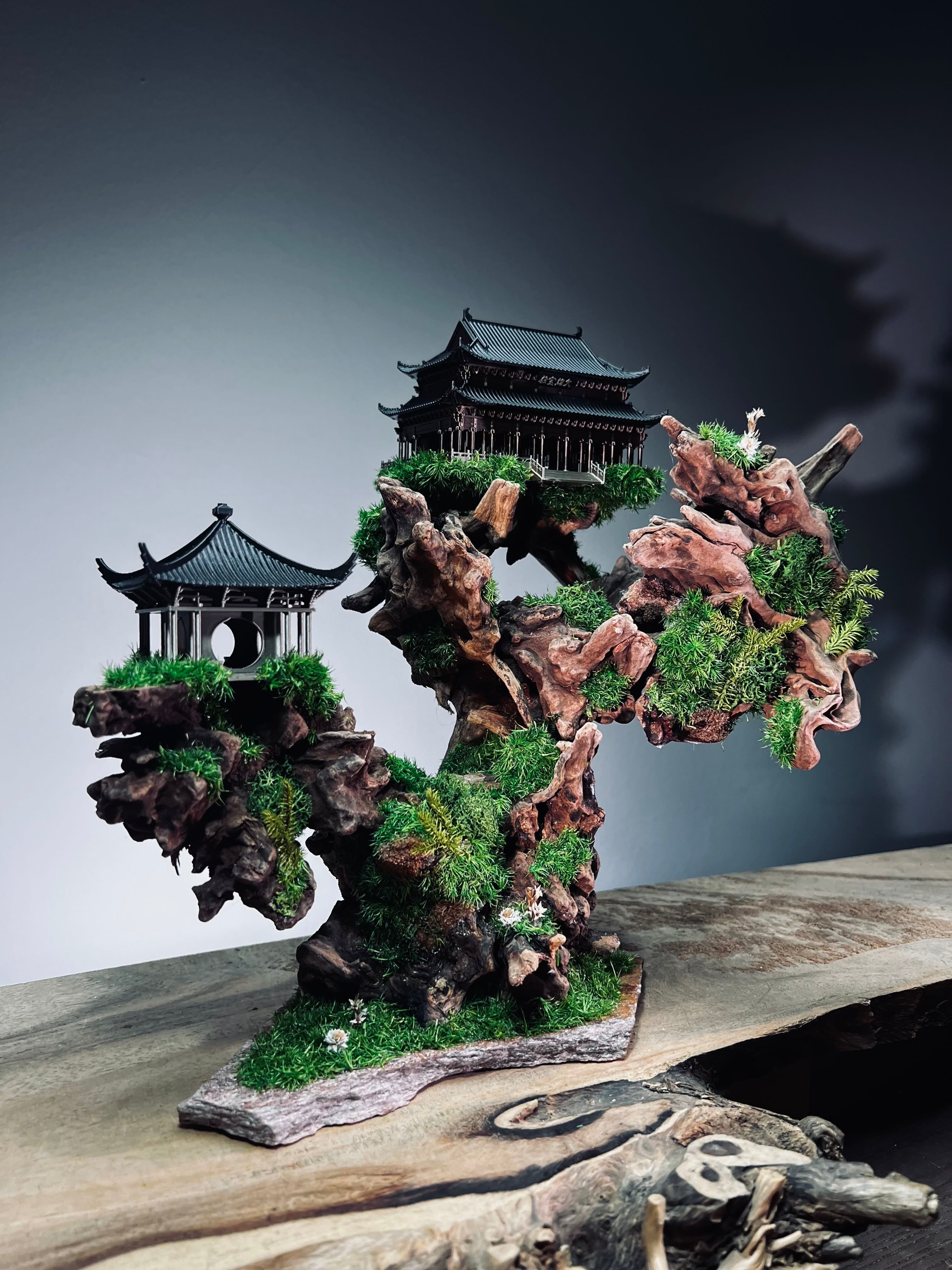 Blackwood Cliff (Preserved Plants)