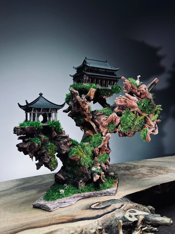 Blackwood Cliff (Preserved Plants)