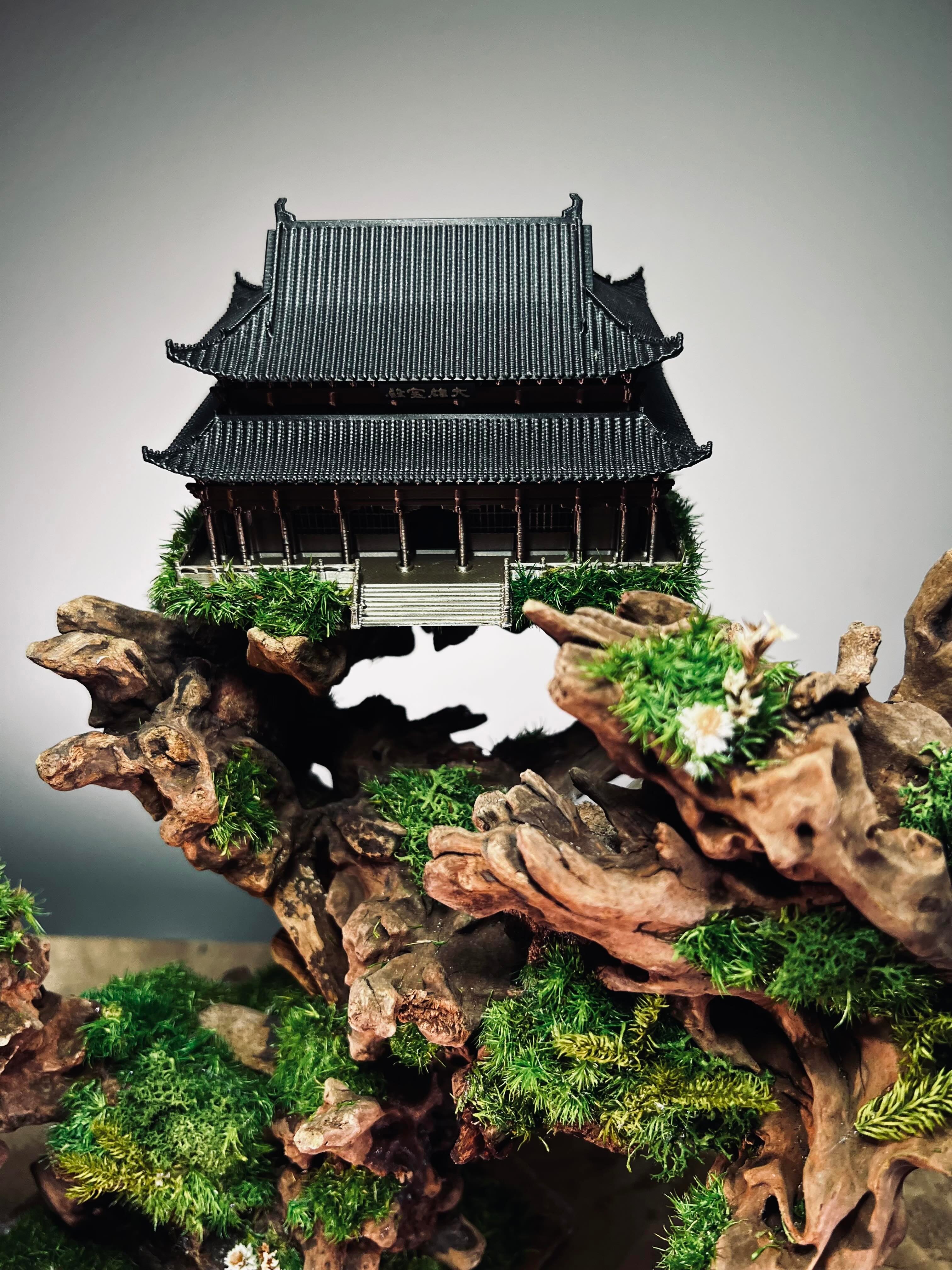 Blackwood Cliff (Preserved Plants)