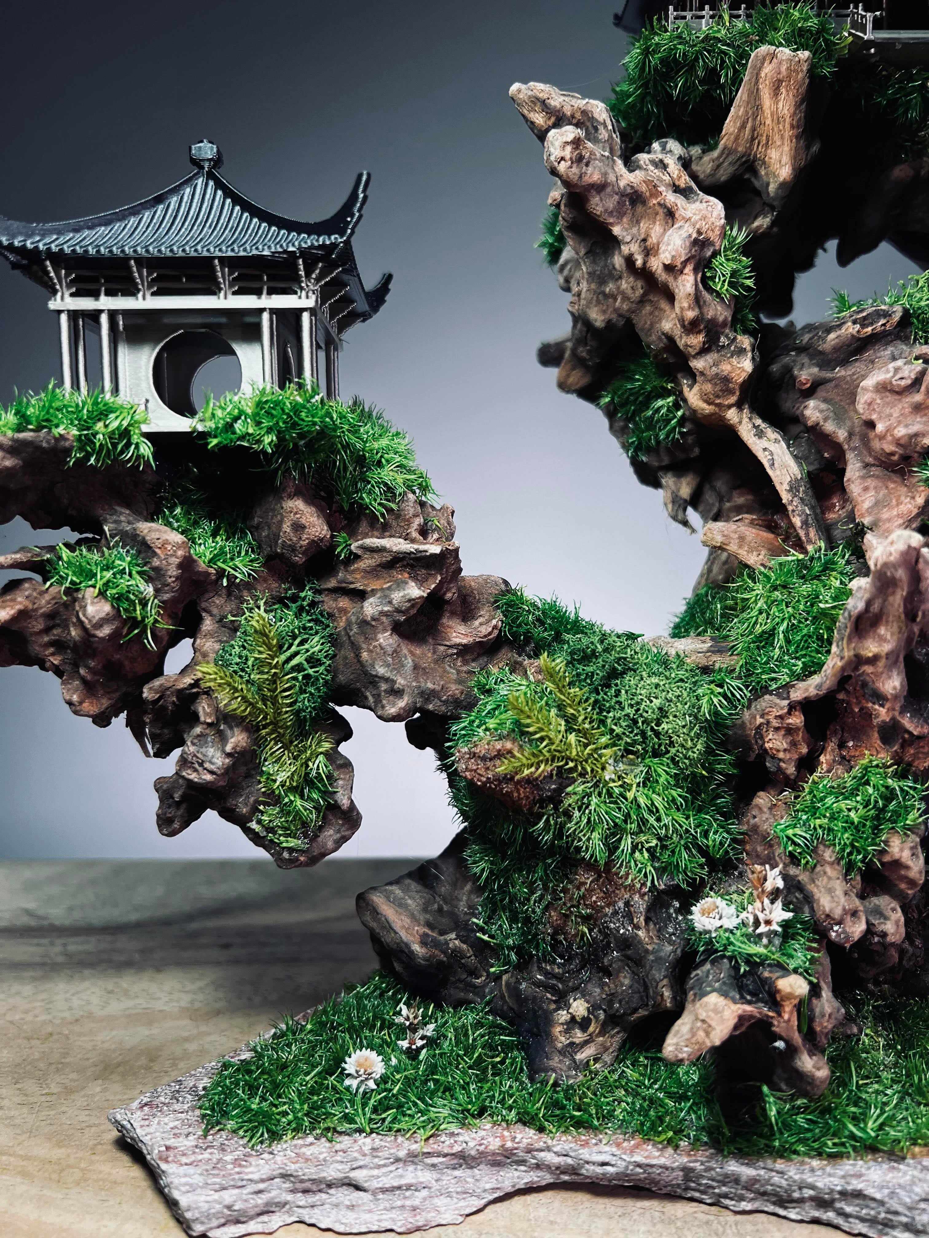 Blackwood Cliff (Preserved Plants)