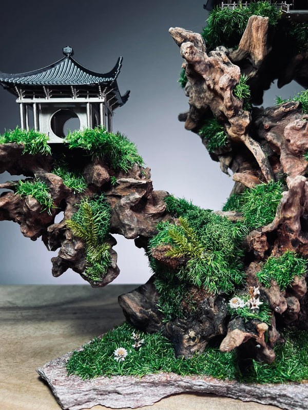 Blackwood Cliff (Preserved Plants)