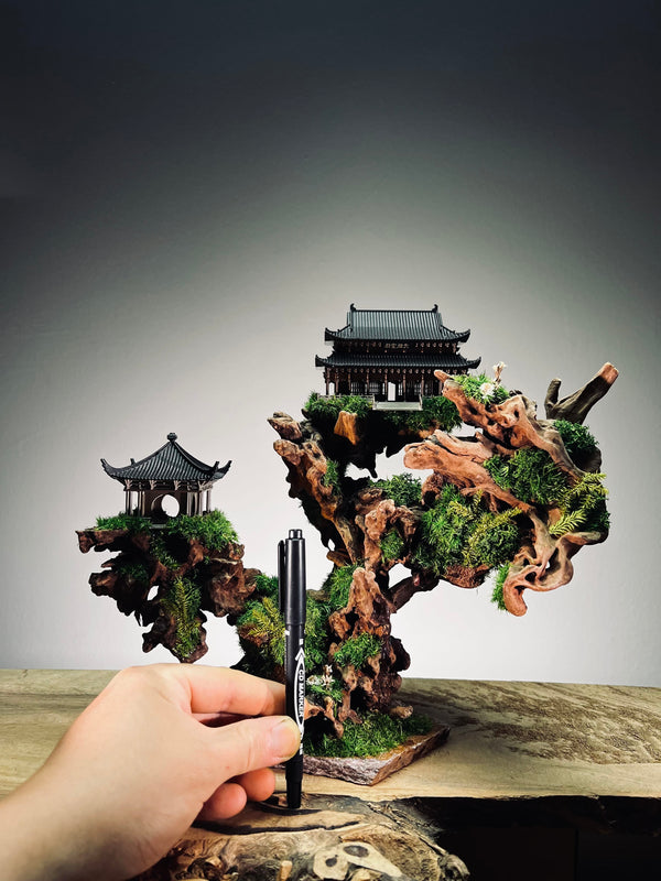 Blackwood Cliff (Preserved Plants)