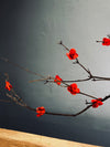 Slow Wood - The Journey (Preserved Plants)