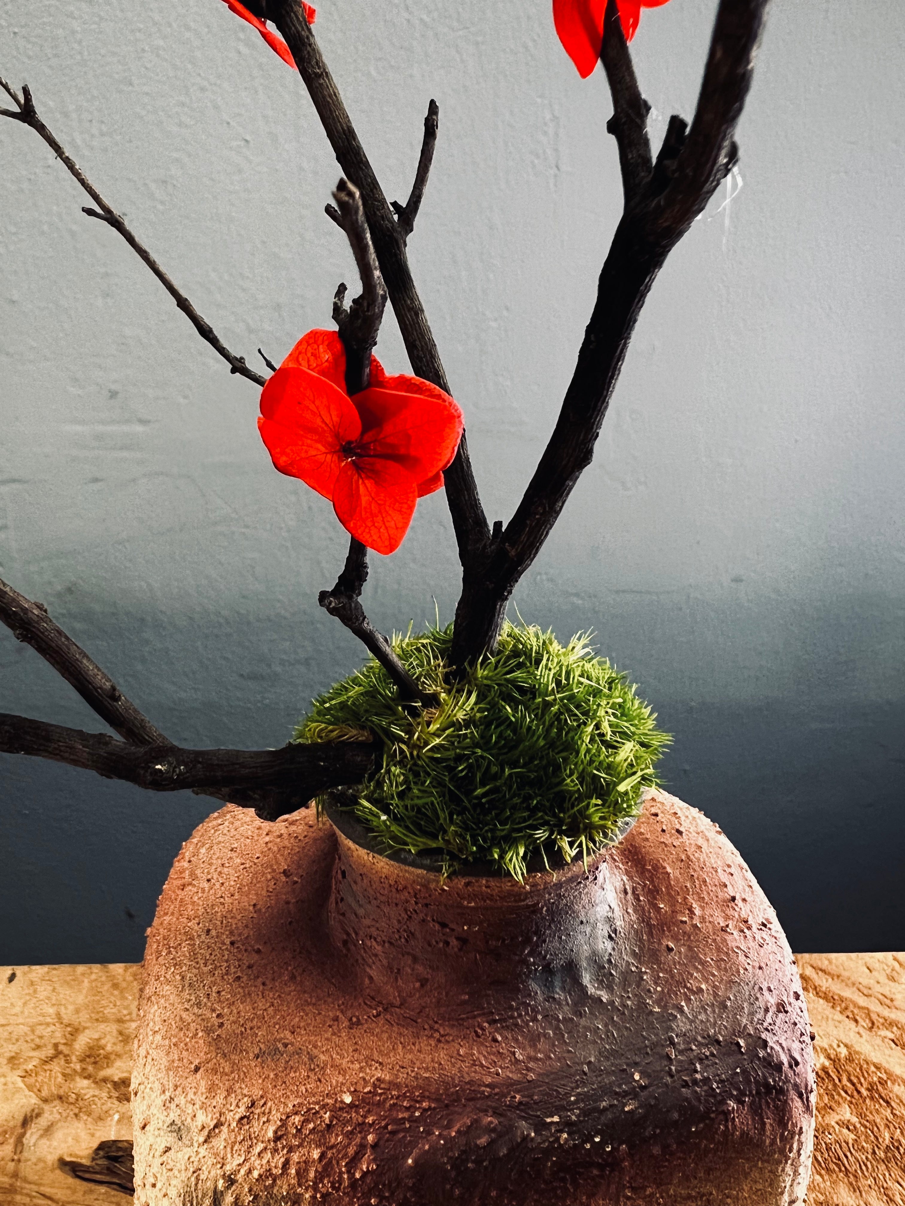 Slow Wood - The Journey (Preserved Plants)