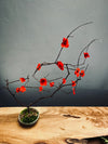 Slow Wood - The Journey (Preserved Plants)