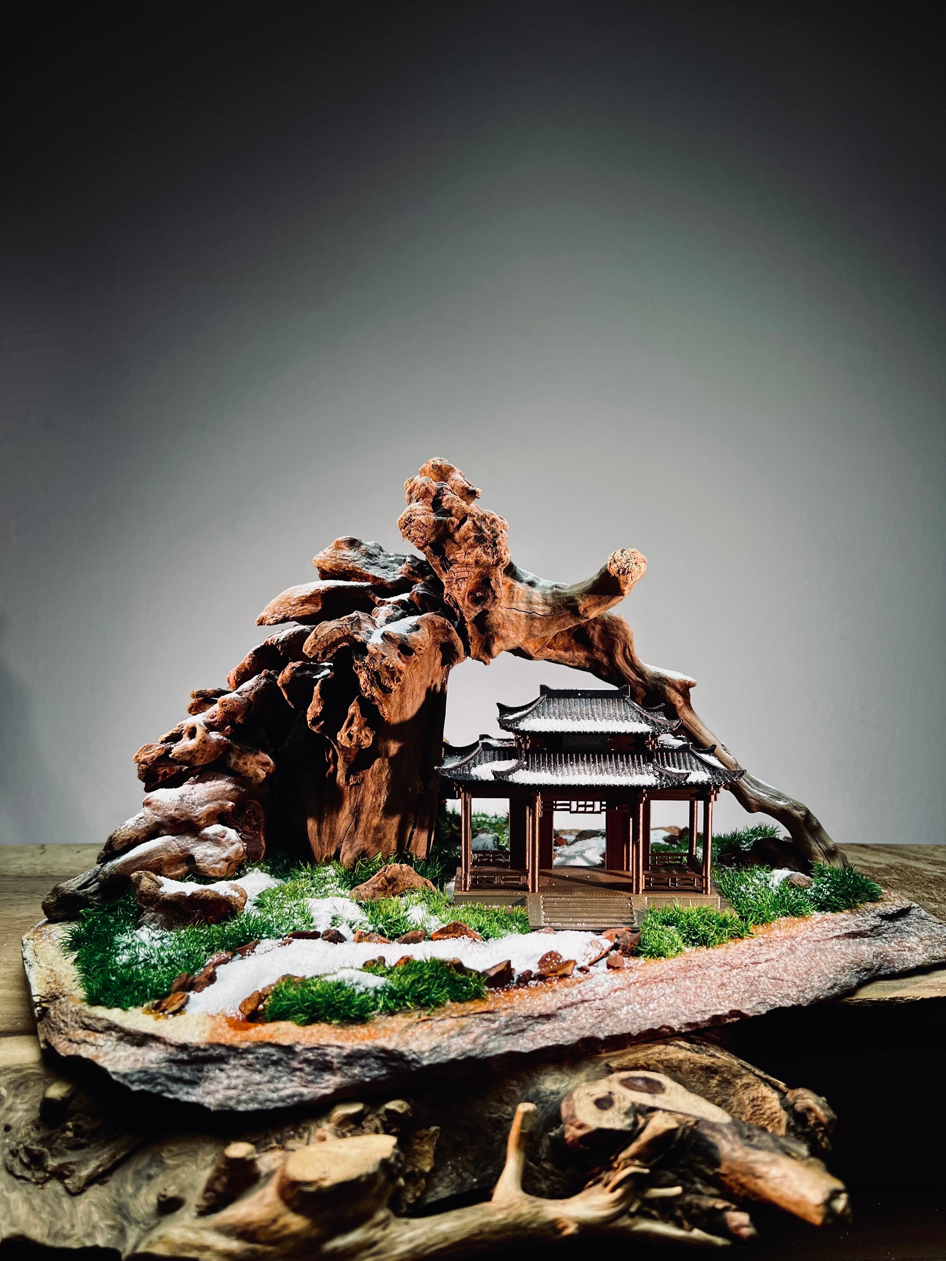 Blackwood Cliff - A Path in the East - Snowfall (Preserved Plants)