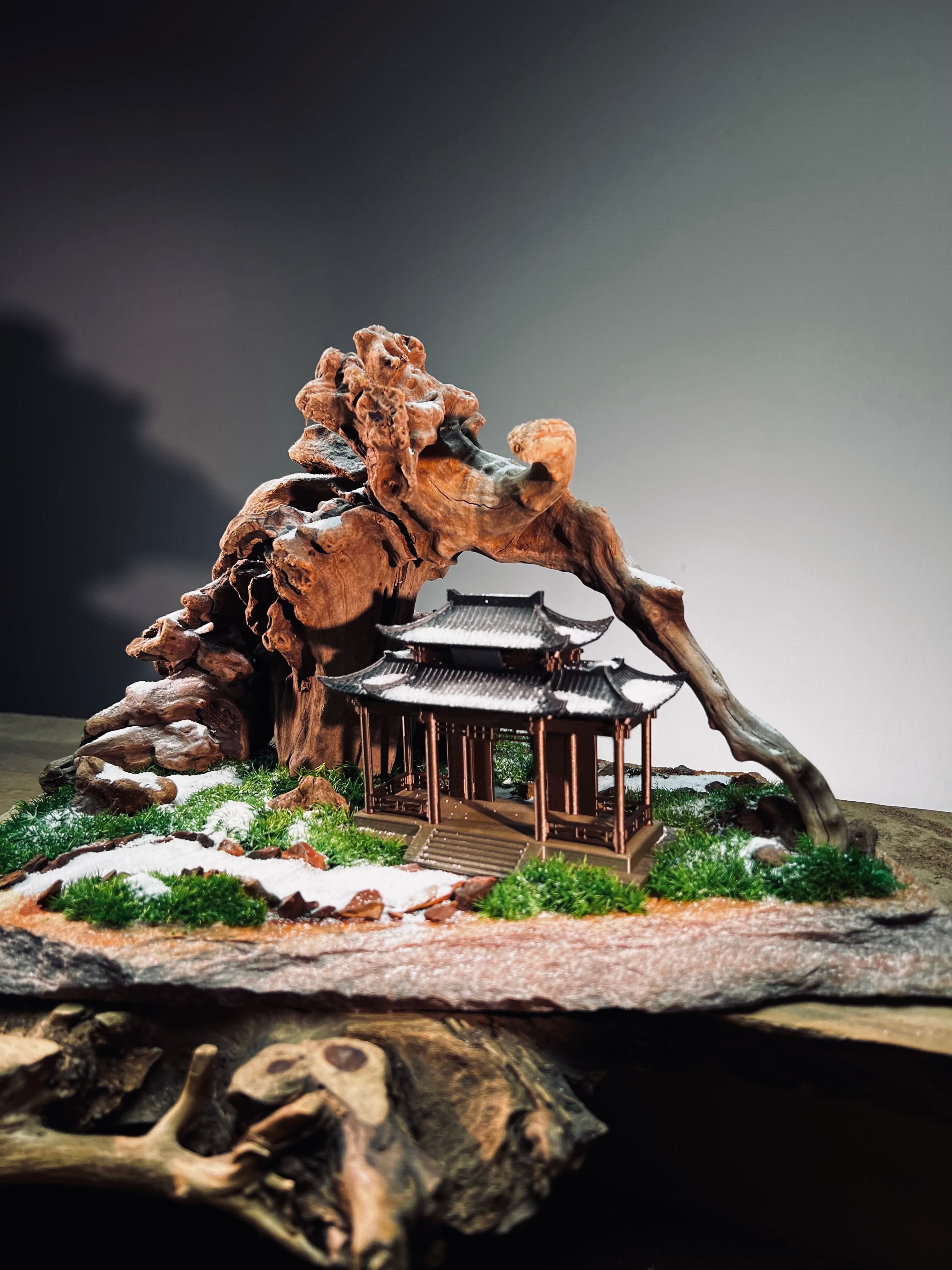 Blackwood Cliff - A Path in the East - Snowfall (Preserved Plants)