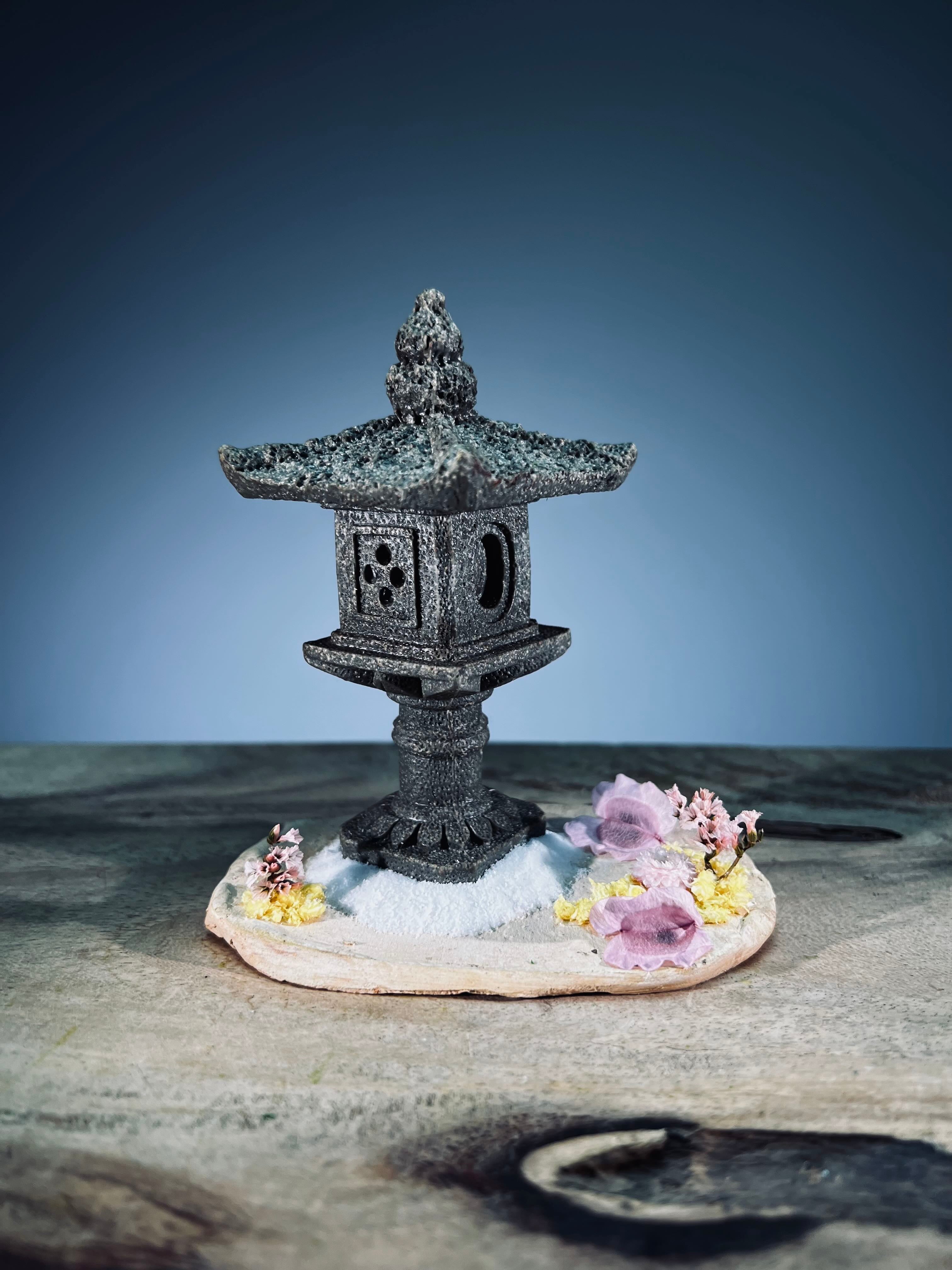Lantern in the East (Preserved Plants)