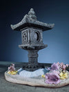 Lantern in the East (Preserved Plants)