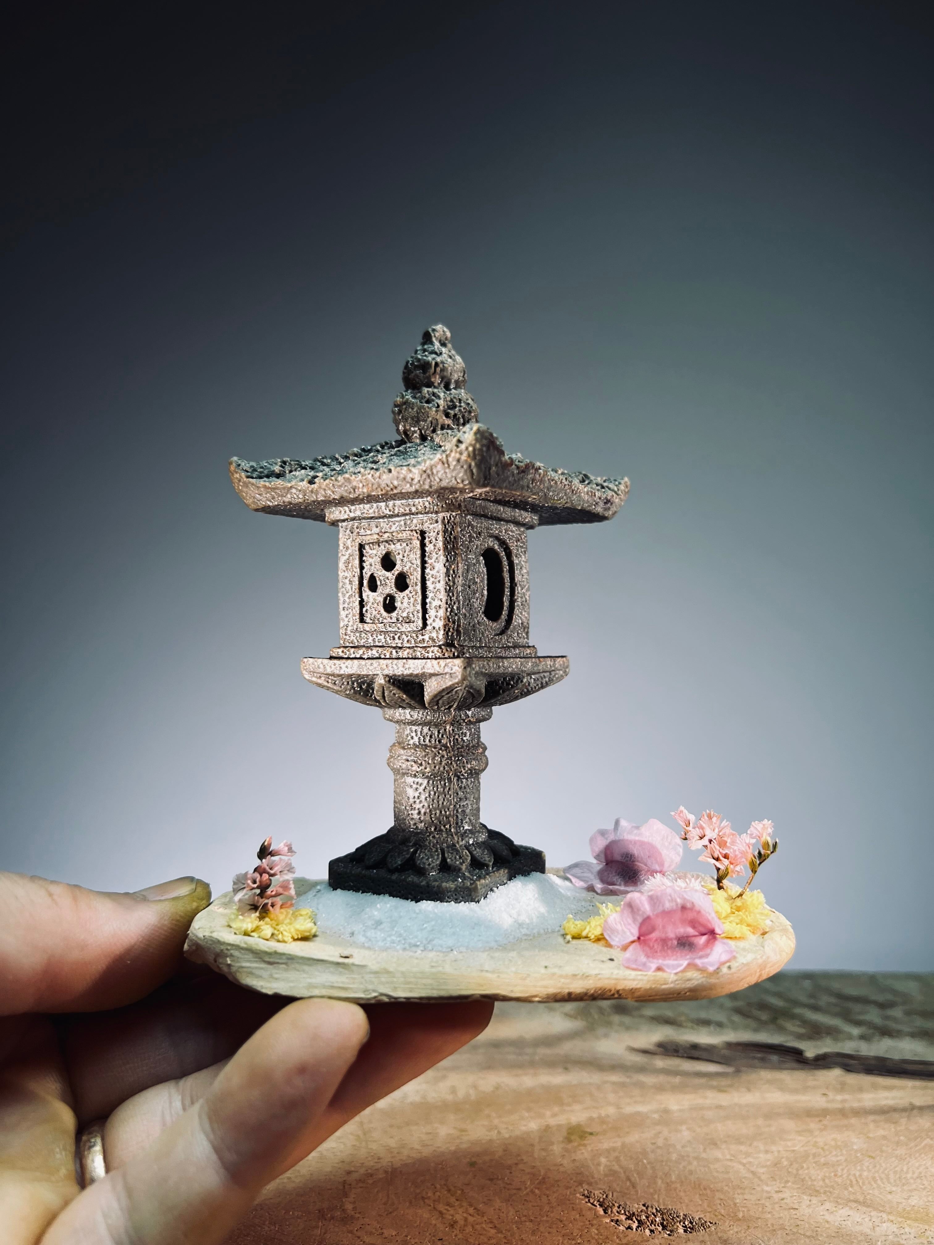 Lantern in the East (Preserved Plants)