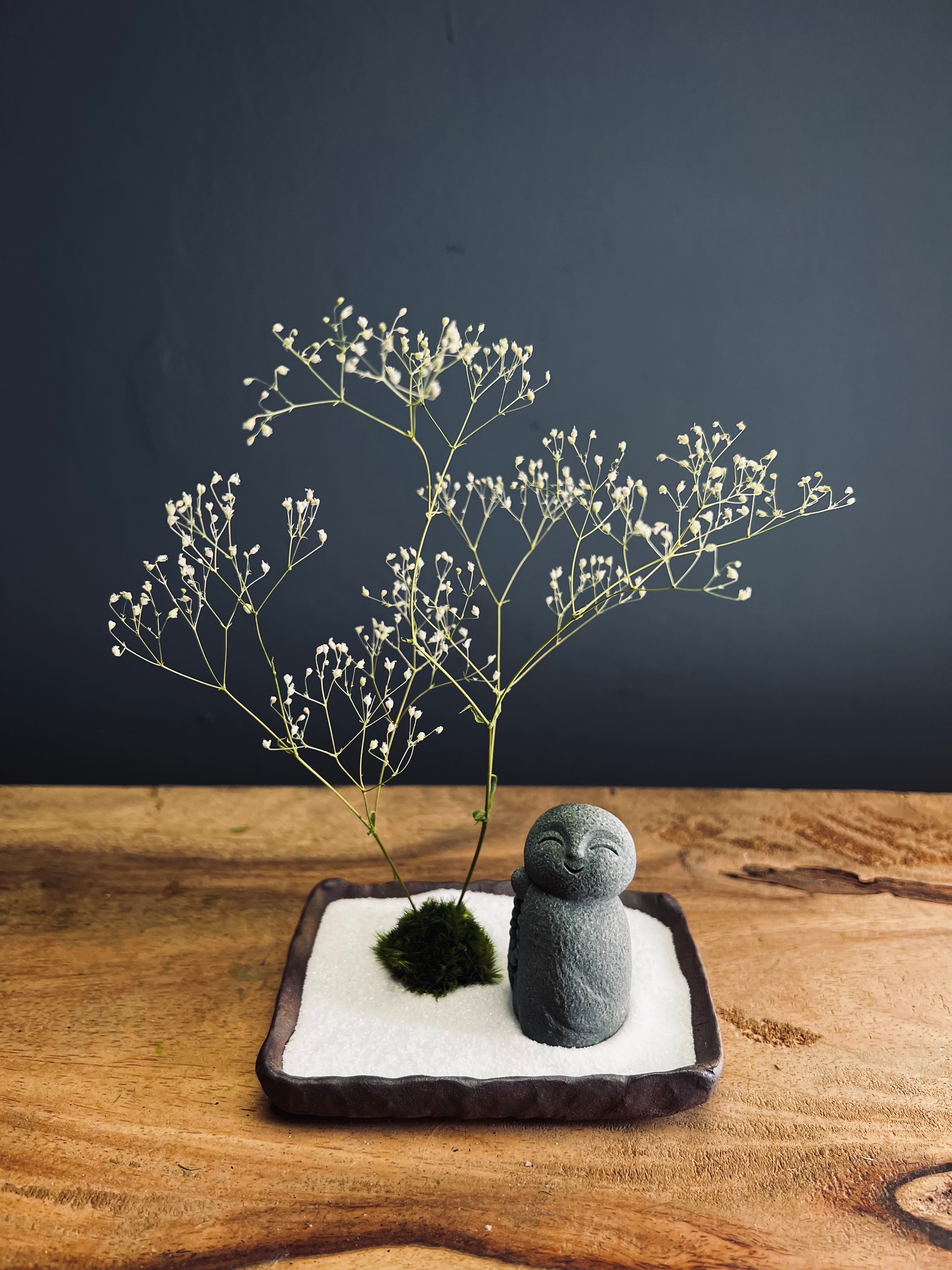 Journeyman in the East - Snowfall edition (Preserved Plants)