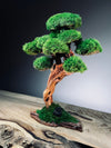 Greenwood - Maverick - Smaller (Preserved Plants)