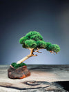 A Small Tree in the East - Classics (Preserved Plants)
