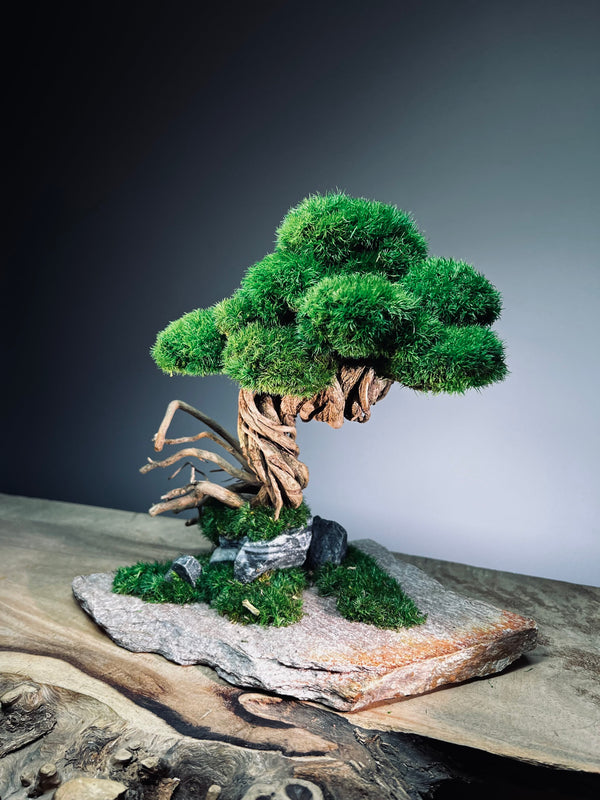 Rise - Stormy Hill edition (Preserved Plants)