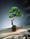 Teaman's Grace (Preserved Plants)