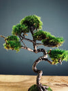 Juniper by the Winding Path - Smaller version (Preserved Plants)