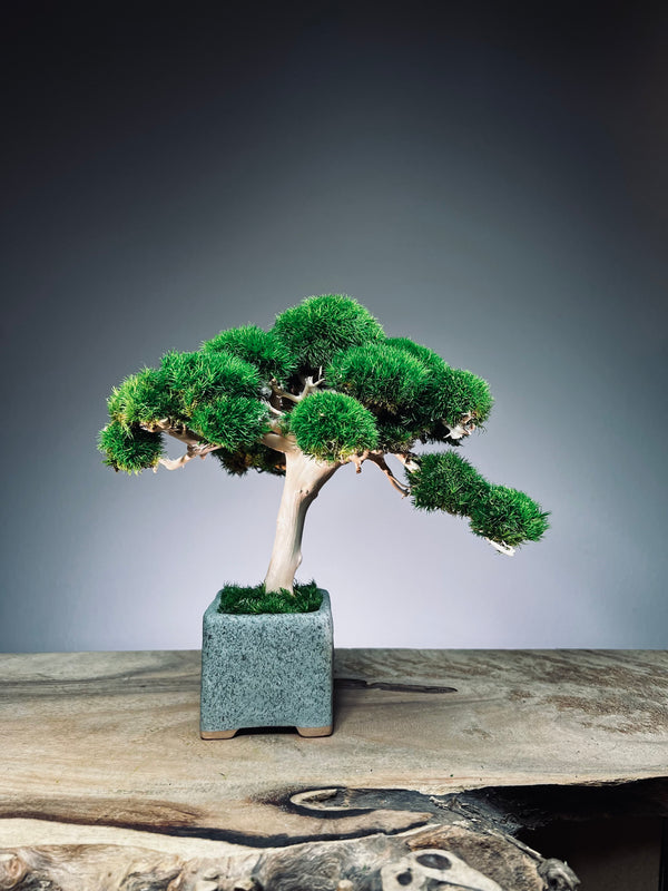 Jade (Preserved Plants)