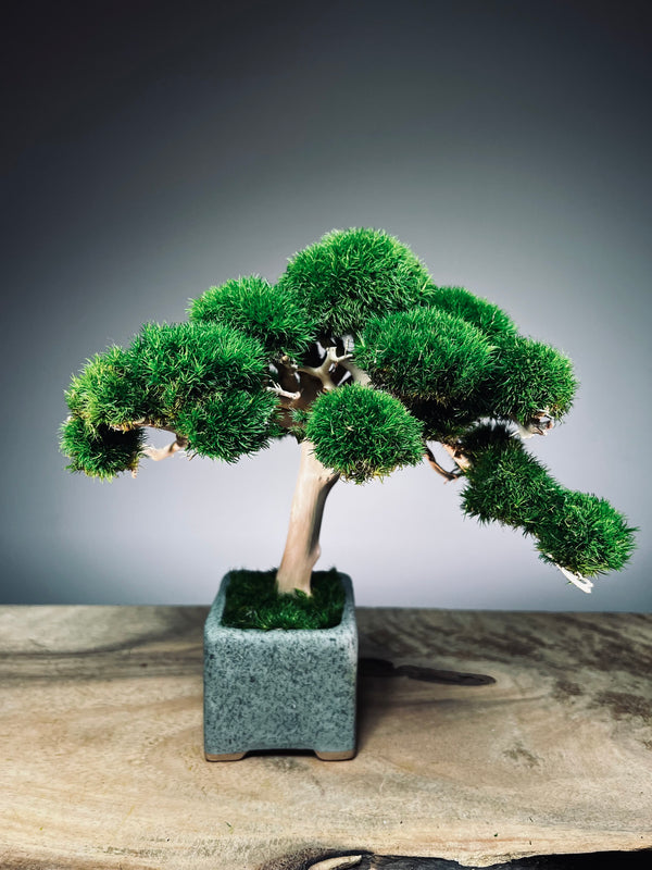 Jade (Preserved Plants)