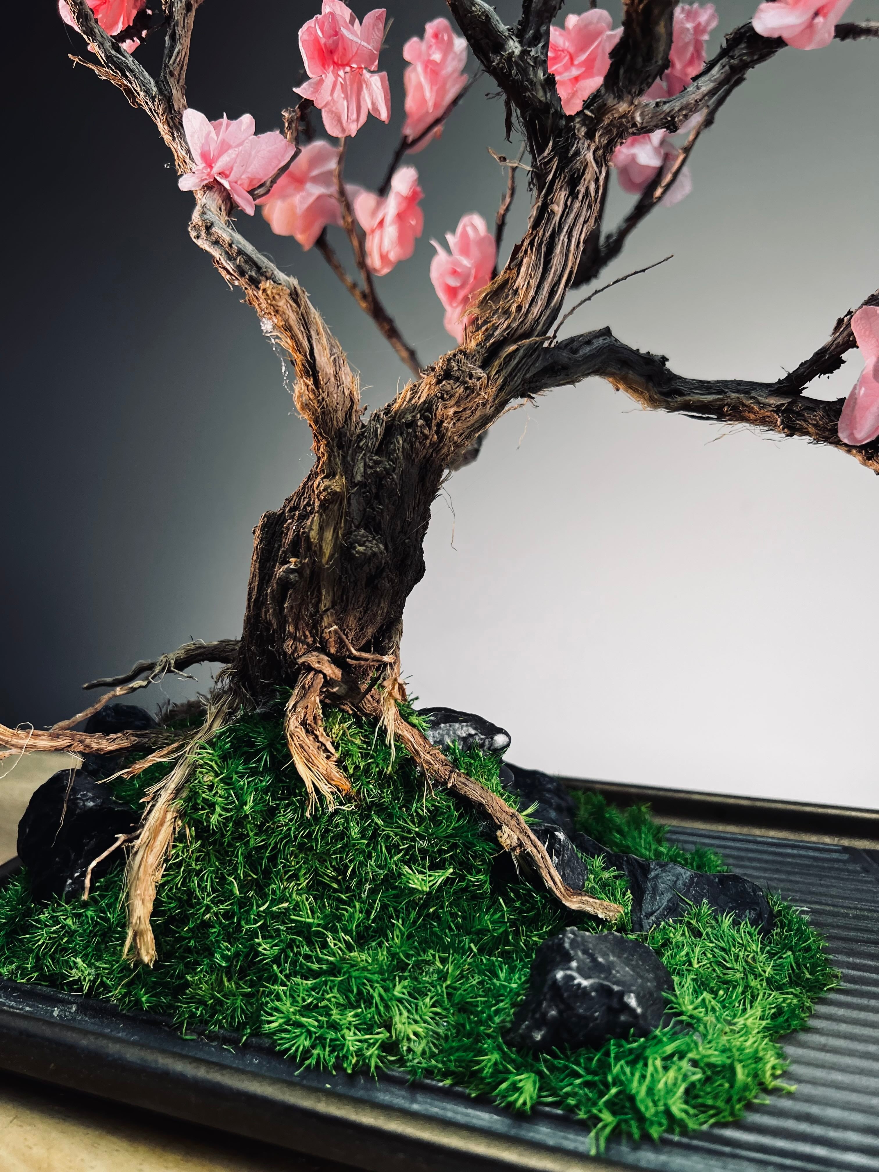 Journeyman in the East - Slow Wood - The Journey (Preserved Plants)