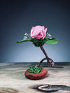 Children of the Forest - Jupiter - Austin (Preserved Plants)