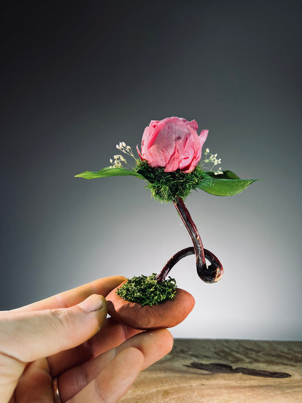 Children of the Forest - Jupiter - Austin (Preserved Plants)