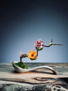 Cradle of Tender - Colors of Sun (Preserved Plants)