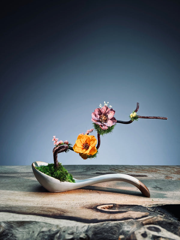 Cradle of Tender - Colors of Sun (Preserved Plants)