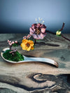 Cradle of Tender - Colors of Sun (Preserved Plants)