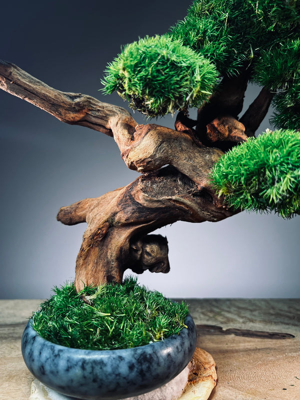 Flight of Time - Time Still (Preserved Plants)